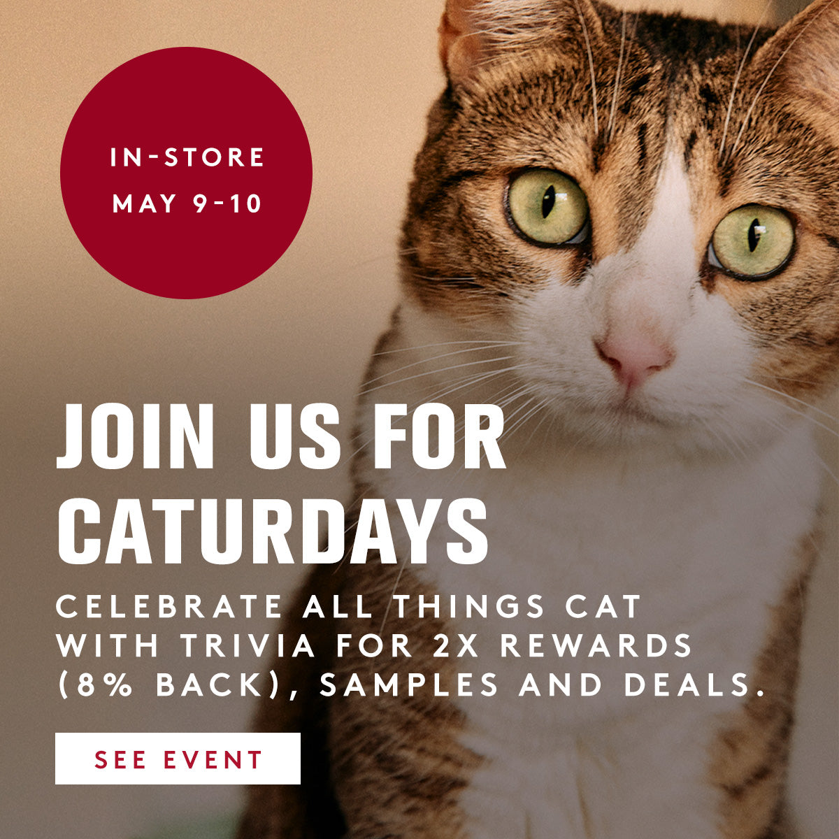 Cat with promotional text for 'Caturdays' event at a store.