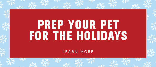 Red banner with white text 'PREP YOUR PET FOR THE HOLIDAYS' on a blue background with snowflakes.