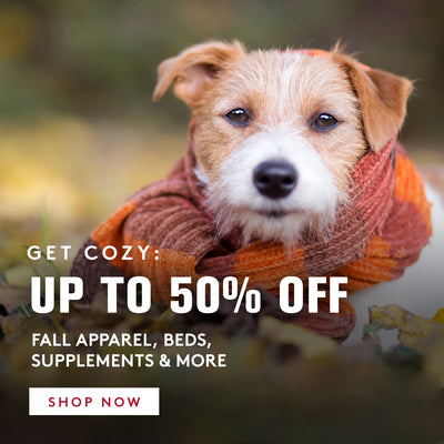 All Star Dogs: Colorado State Rams Pet apparel and accessories