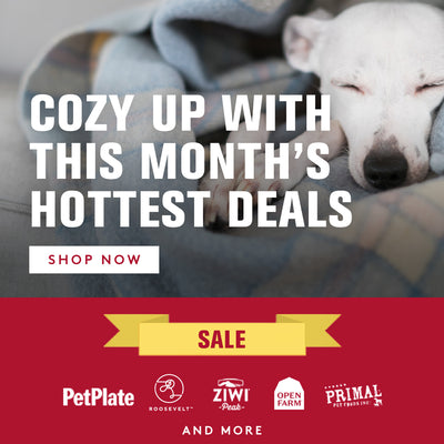 Minnesota Twins  Pet Products at Discount Pet Deals