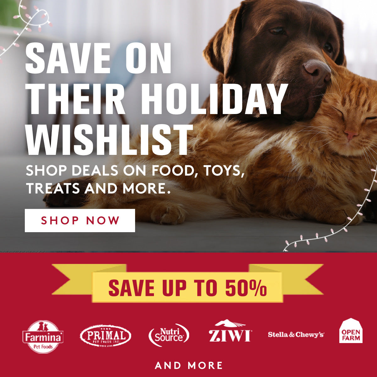Advertisement with a dog and cat lying together, promoting holiday deals on pet products with visible brand logos.