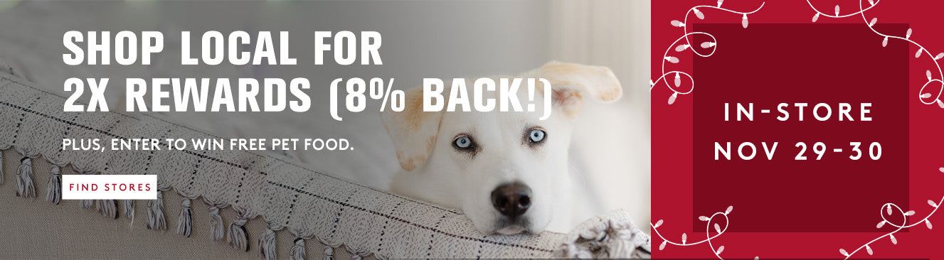Dog lying on a rug with a promotional banner for local shopping rewards and free pet food offer.