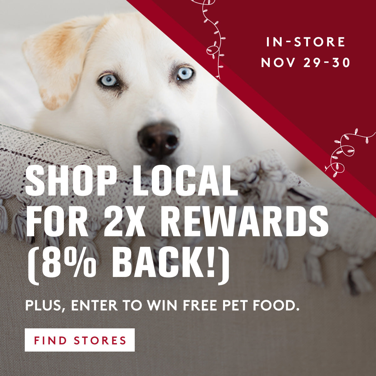 Promotional flyer for a local store event with a dog and text about rewards and free pet food.