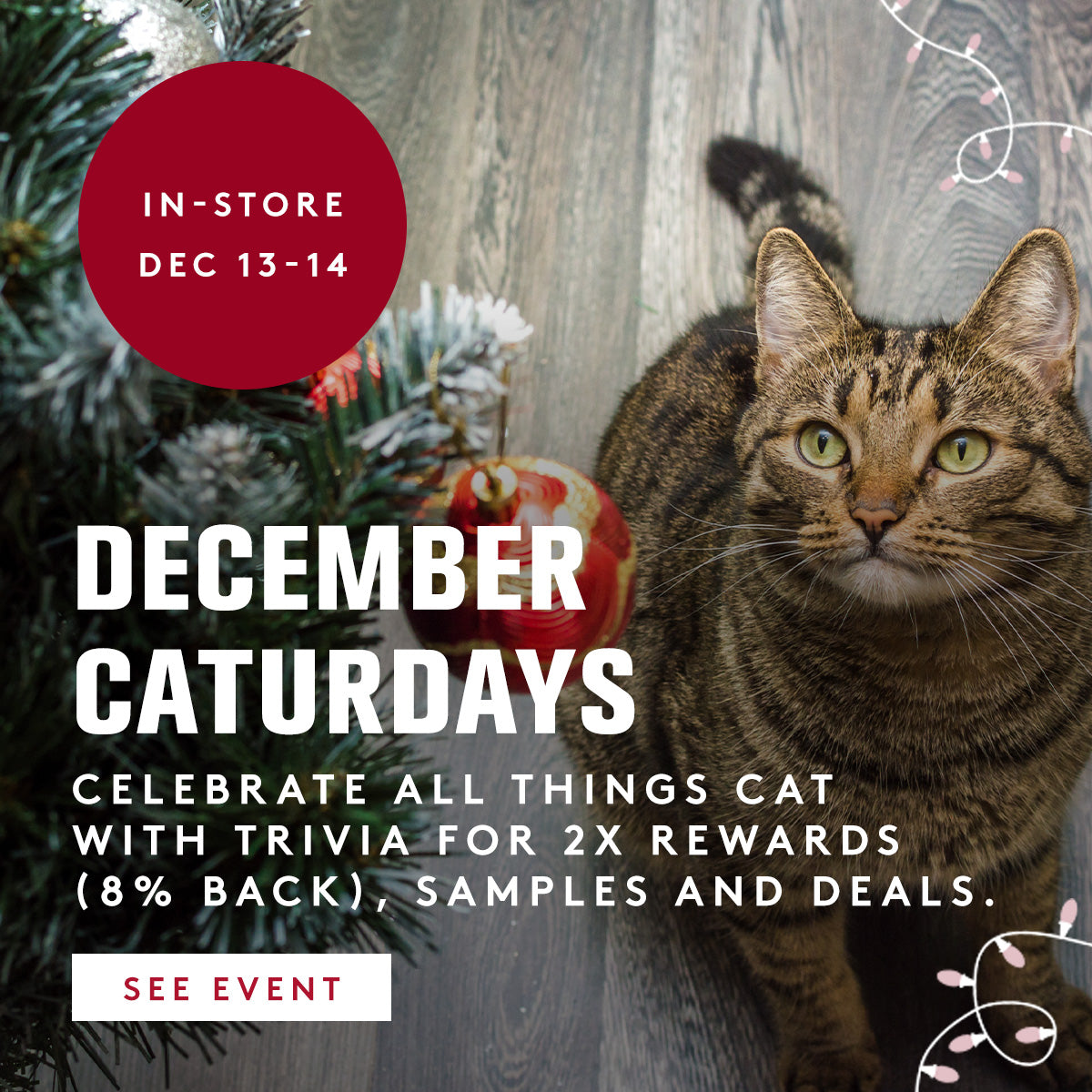 Cat sitting next to a Christmas tree with promotional text for December Caturdays event.