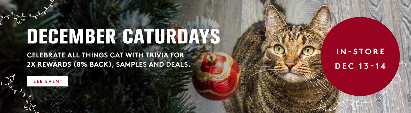 Cat sitting next to a Christmas tree with promotional text for December Caturday event.