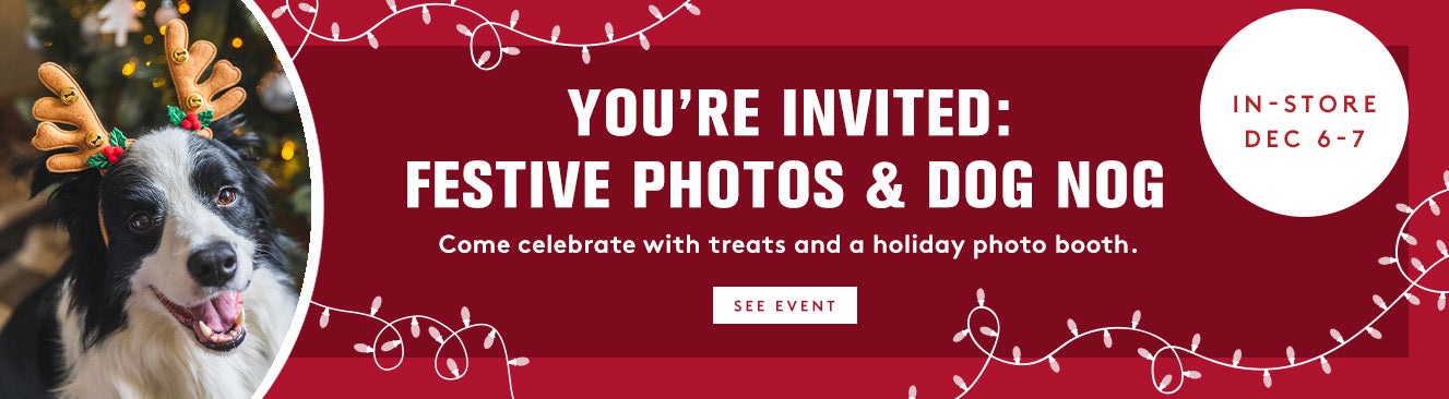 Invitation to festive photos and dog nog event with a dog wearing reindeer antlers on a red background.