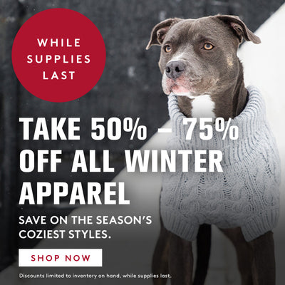 https://chuckanddons.com/cdn/shop/files/MB40-Campaign_4-Apparel_Sale-Carousel-Mobile_400x.jpg?v=1704498427