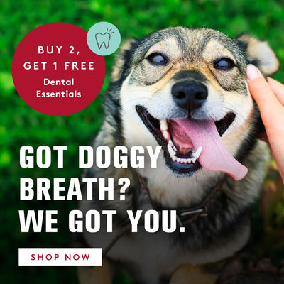 Got doggy breath? We got you. Buy 2, get 1 free dental essentials. click to shop now. 