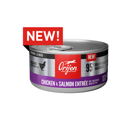 ORIJEN Chicken & Salmon Recipe Canned Kitten Food