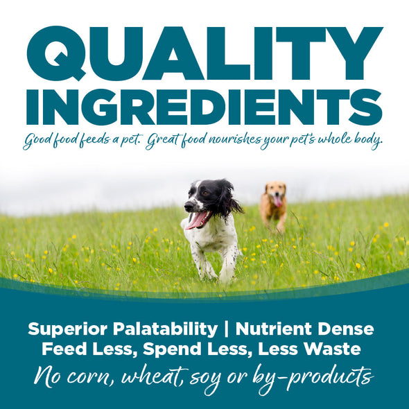 NutriSource Chicken & Rice Canned Dog Food