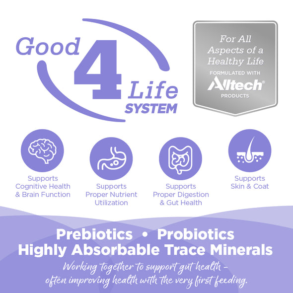 NutriSource Grain Free Chicken & Salmon Select Canned Cat Food