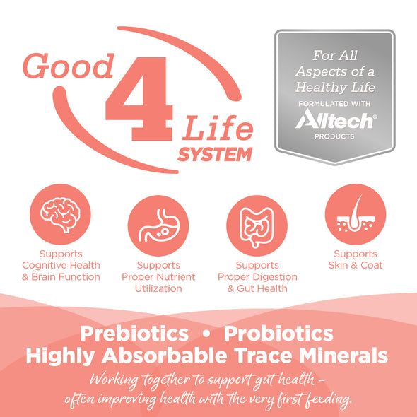 NutriSource Grain Free Salmon, Trout & Whitefish Ocean Select Canned Cat Food