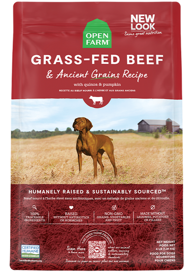 Beef based dog sales food