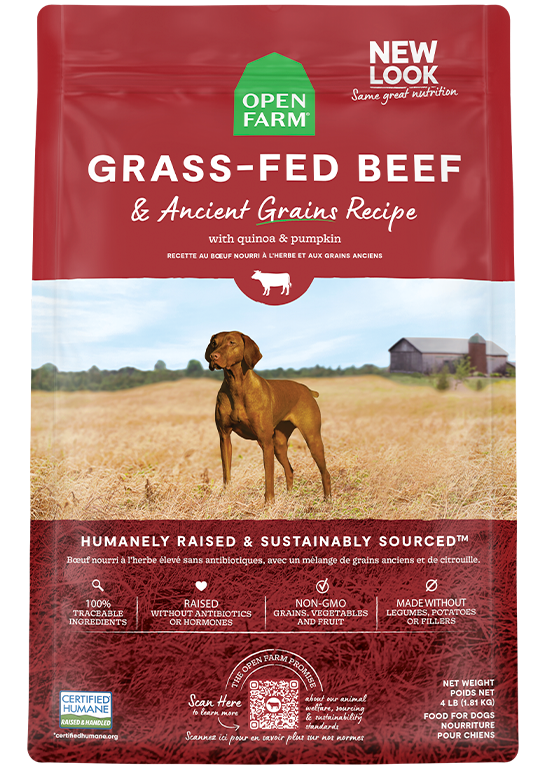 Open Farm Grass-Fed Beef Ancient Grain Dry Dog Food