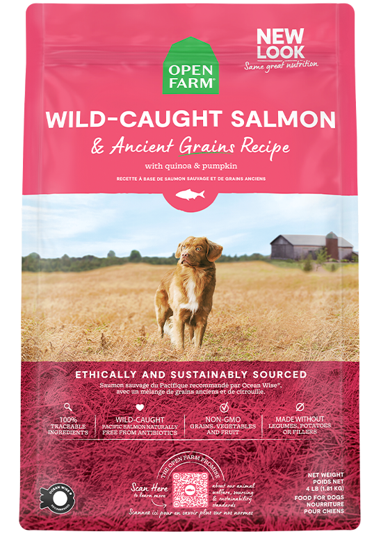 Open Farm Wild Caught Salmon Ancient Grains Dry Dog Food