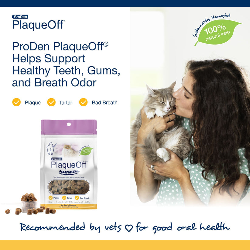 Proden PlaqueOff Dental Supplement Scoopables For Cats proden-plaqueoff-dental-supplement-scoopables-for-cats