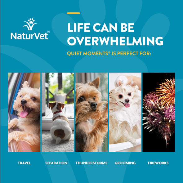 NaturVet Quiet Moments Plus Melatonin Soft Chews for Dogs