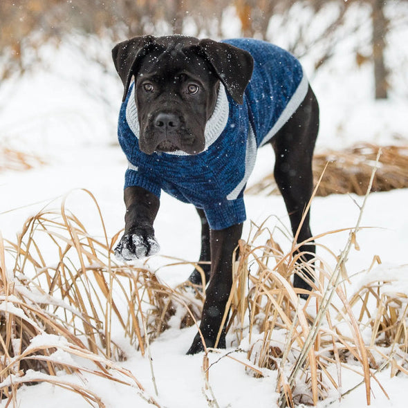 GF Pet Trekking Sweater - Blue for Dogs