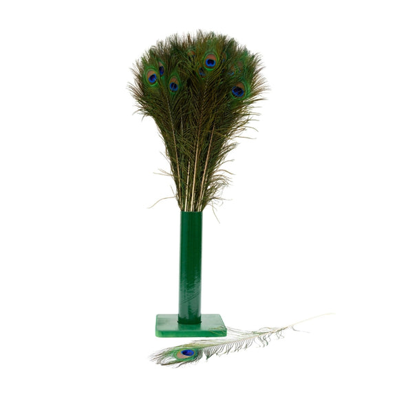 Vee Enterprises Natural Peacock Feather Cat Toy (Assorted Colors)