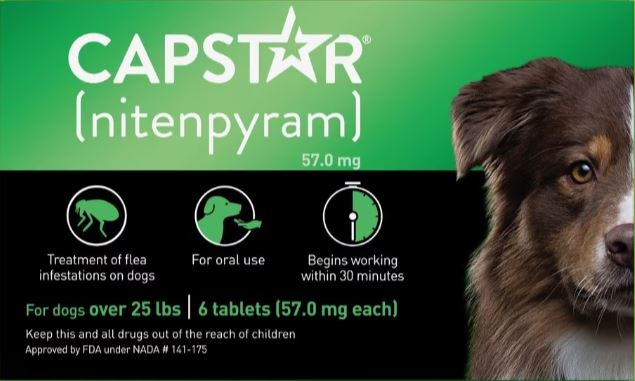 Capstar flea medicine for dogs best sale