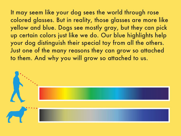 Attachment Theory Flying Disk Toy for Dogs