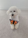 Tall Tails Plush Monarch Butterfly with Squeaker Dog Toy