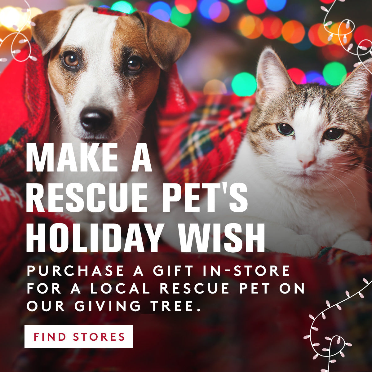 Two dogs and a cat in front of a Christmas tree with lights, promotional text for giving tree in stores for local rescue pets.