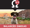 Pro Pac Ultimates Overland Grain-Free Red Beef & Potato Dry Dog Food