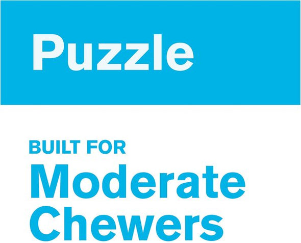 West Paw Zogoflex Toppl Tough Treat Dispensing Dog Chew Toy in Granny Smith Green