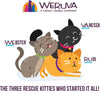 Weruva Cats in the Kitchen Lamb Burgini Lamb Au Jus Grain Free Canned Cat Food