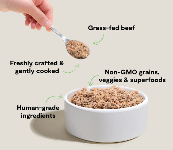 Open Farm Goodbowl Frozen Grass-Fed Beef Freshly Crafted Recipe for Do
