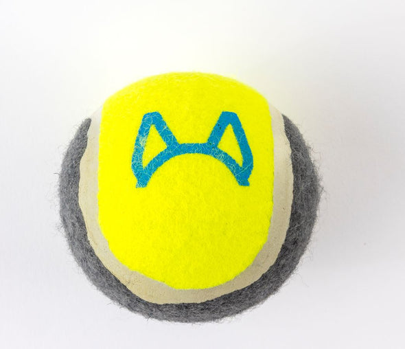 Attachment Theory Tennis Ball Toy for Dogs