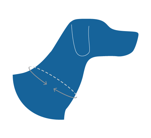 RC Pets Eco Clip Collar for Dogs in Mystic Monstera Pattern