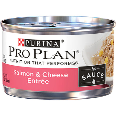 Purina Pro Plan Salmon & Cheese Entrée in Sauce