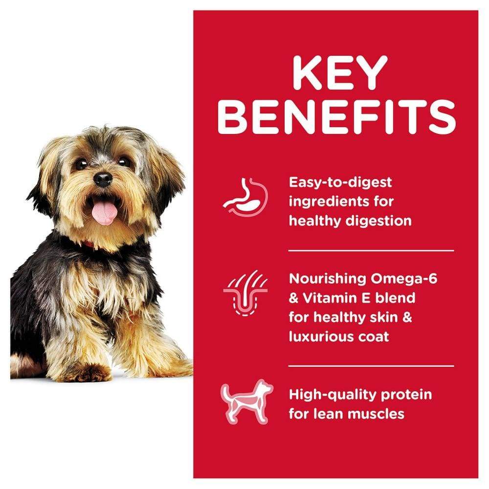 Hill's science diet small and shop toy breed dry dog food