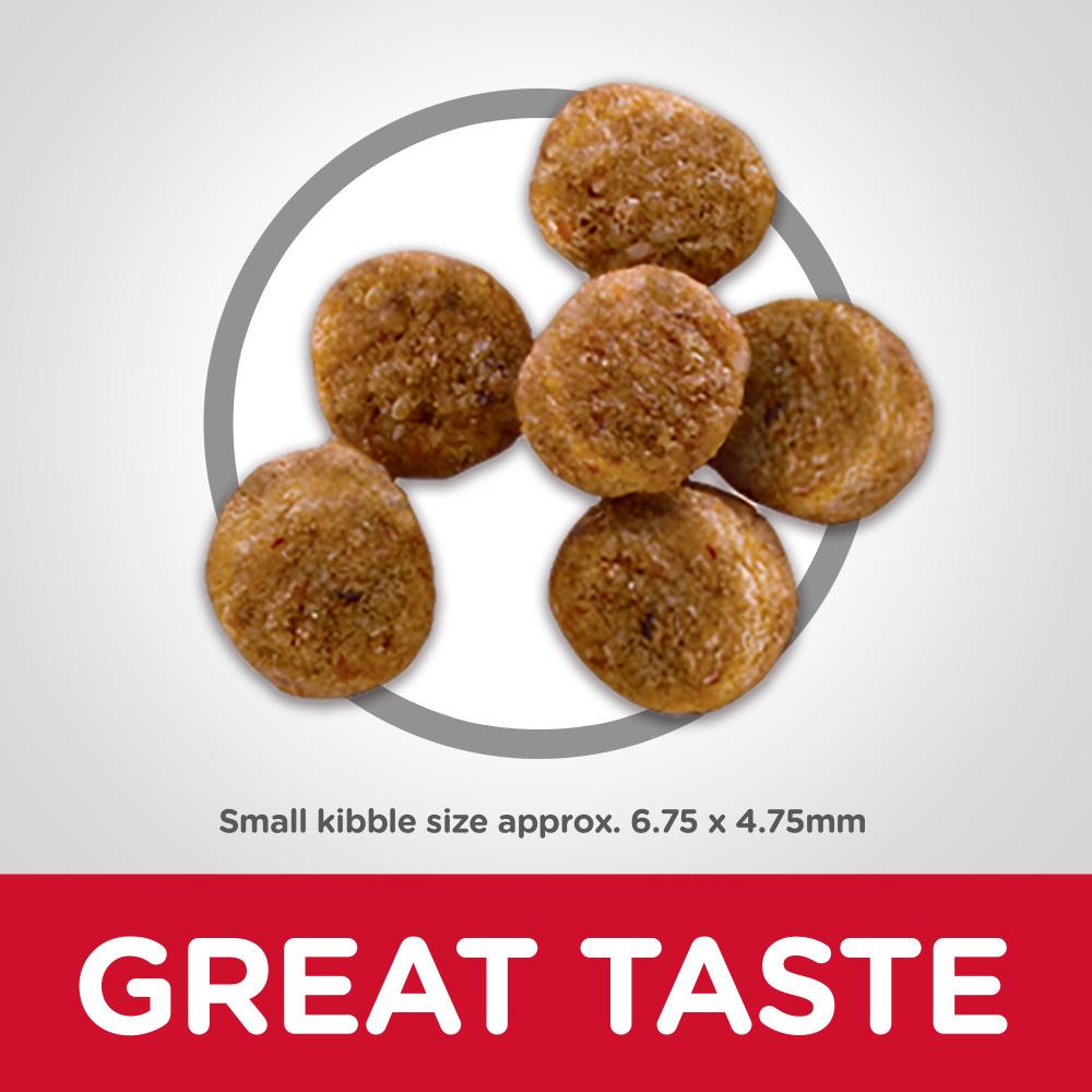 Hill's Science Diet Adult 1-6: What Dog Owners Need To Know-2025