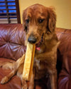 Yeti Cheese Dog Chew