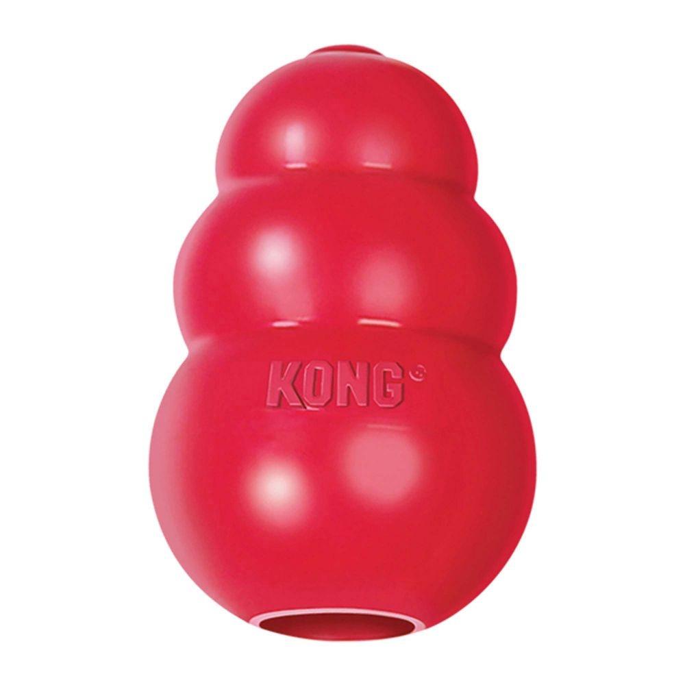 Best Kong Recipes: 21 Kong Stuffing Ideas for Puppies & Dogs