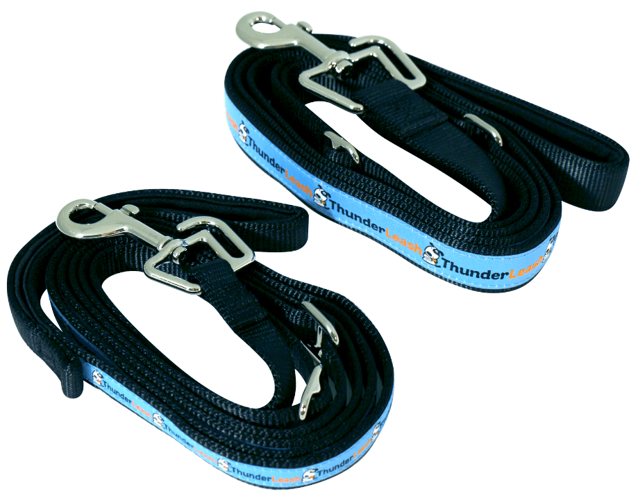 Thunder leash for clearance dogs