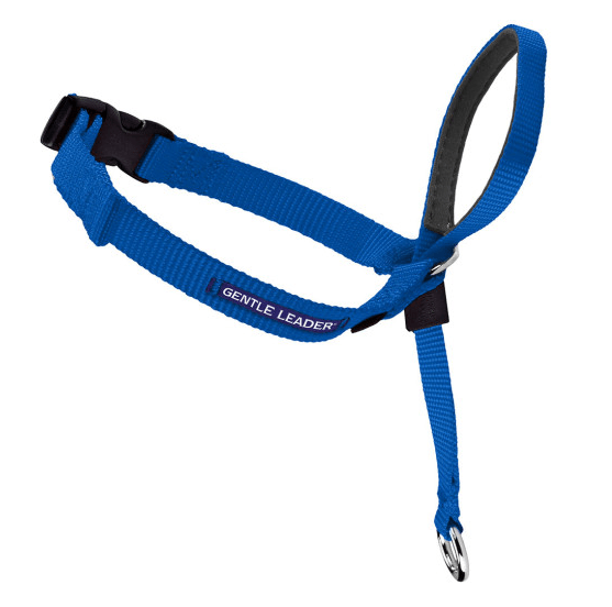 Leash leader hot sale