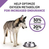 Purina Pro Plan Sport All Life Stages Performance 30/20 Salmon & Rice Formula Dry Dog Food