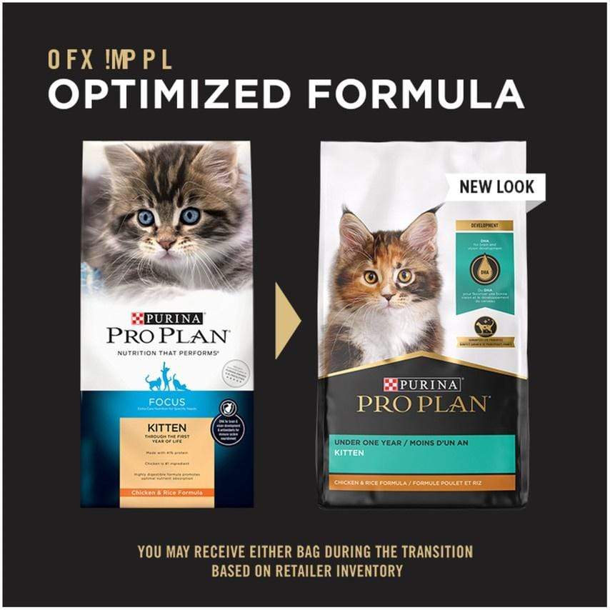 Purina Pro Plan Focus Chicken Rice Formula Kitten Dry Cat Food