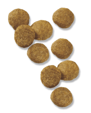 Purina Pro Plan Puppy Lamb Rice Formula Dry Dog Food