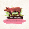 Inception Pork Recipe Dry Dog Food