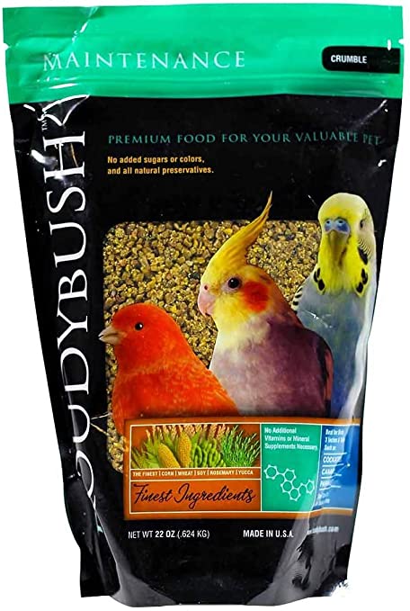 Roudybush best sale parrot food