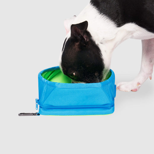 Canada Pooch Dog Freeze and Go Water Bowl