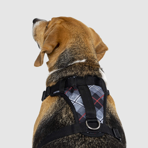 Canada Pooch Everything Harness Water-Resistant Series Plaid Harness for Dogs