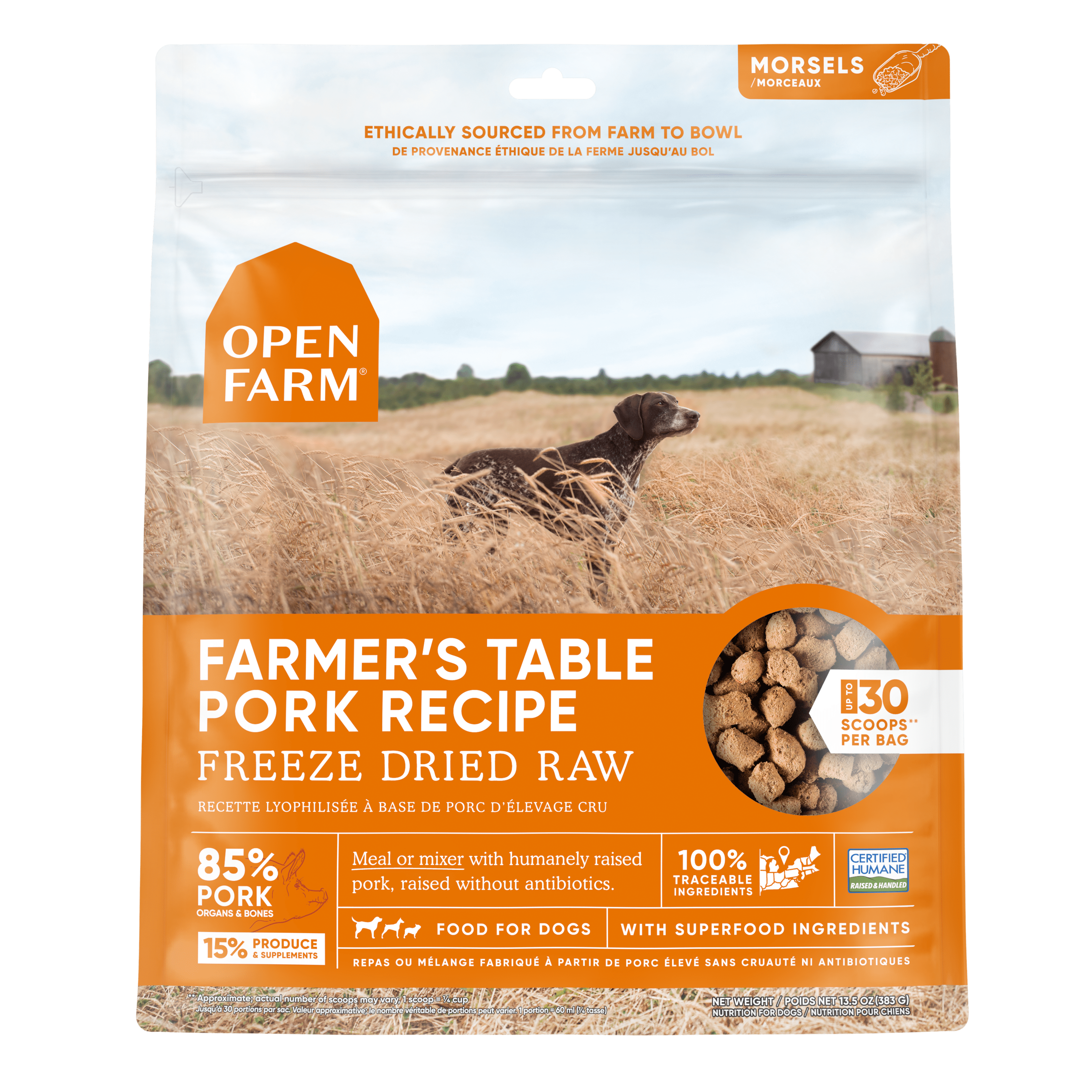 Best mixer for raw dog food deals