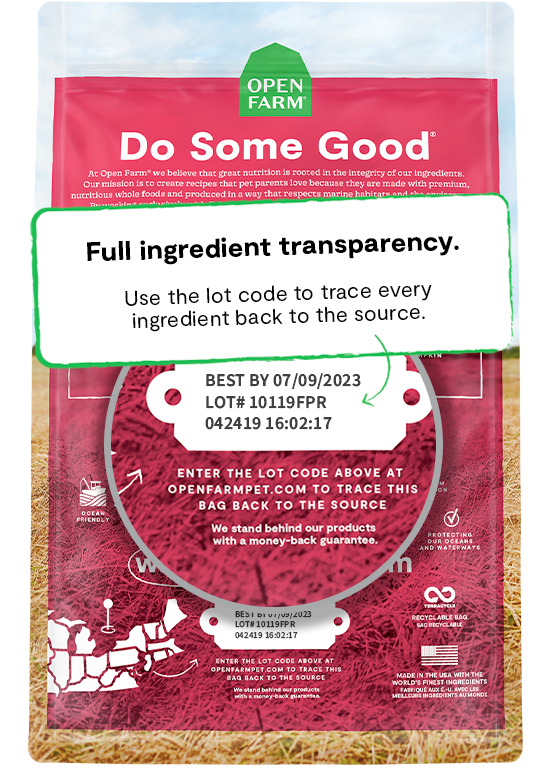 Open Farm Grain-Free Wild-Caught Salmon Recipe Dry Dog Food