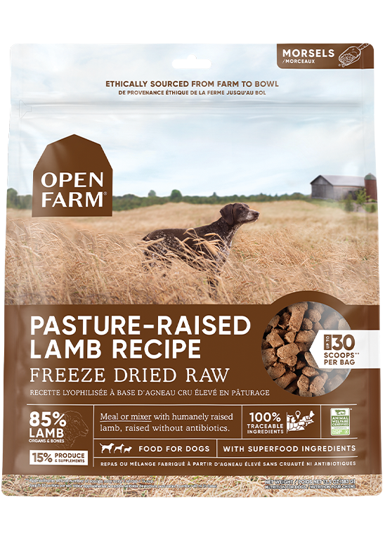 Lamb raw dog food best sale